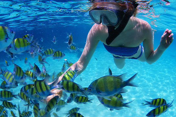 Snorkeling