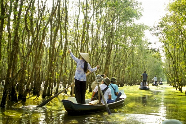 Tra Su Cajuput Forest