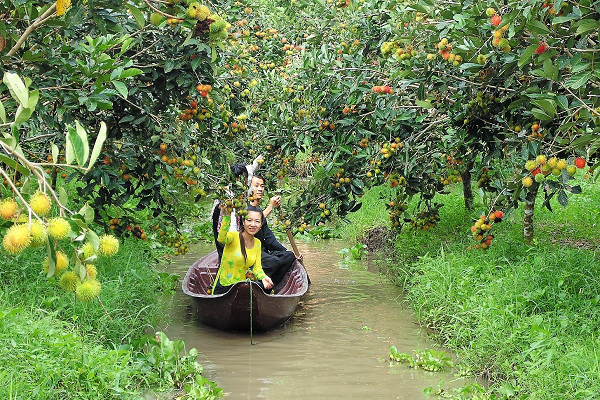 Tra Su Cajuput Forest