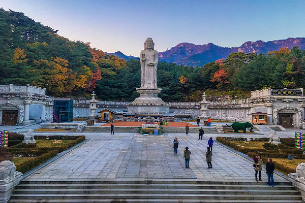 Busan – Daegu – Seoul – Everland