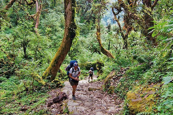 Tour trekking chinh phục đỉnh LangBiang