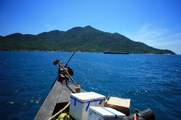 Tour lặn ngắm san hô và tham quan Cù Lao Chàm