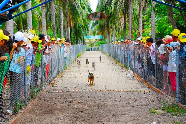 Tour Đảo Khỉ - Đảo Hoa Lan - vịnh Nha Phu