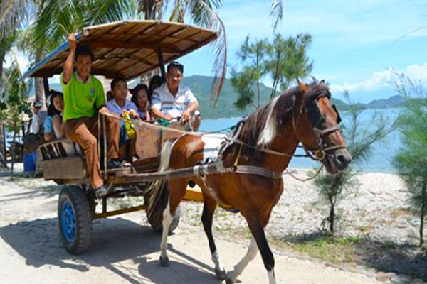 Tour Đảo Khỉ - Đảo Hoa Lan - vịnh Nha Phu