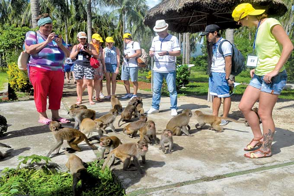 Đảo khỉ nha trang