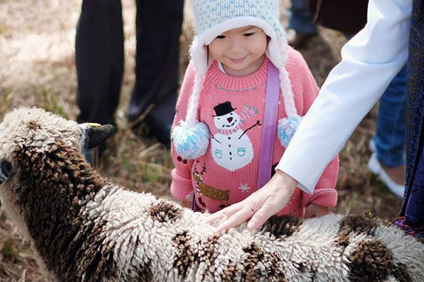 Vé ZooDoo Đà Lạt