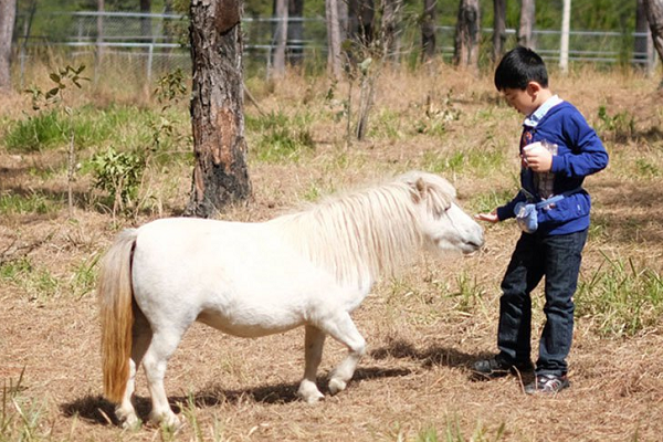 Vé ZooDoo Đà Lạt