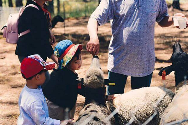 Vé ZooDoo Đà Lạt